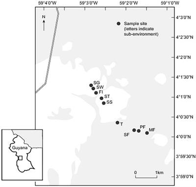 Assessing Lignin Decomposition and Soil Organic Carbon Contents Across a Tropical Savannah-Rainforest Boundary in Guyana